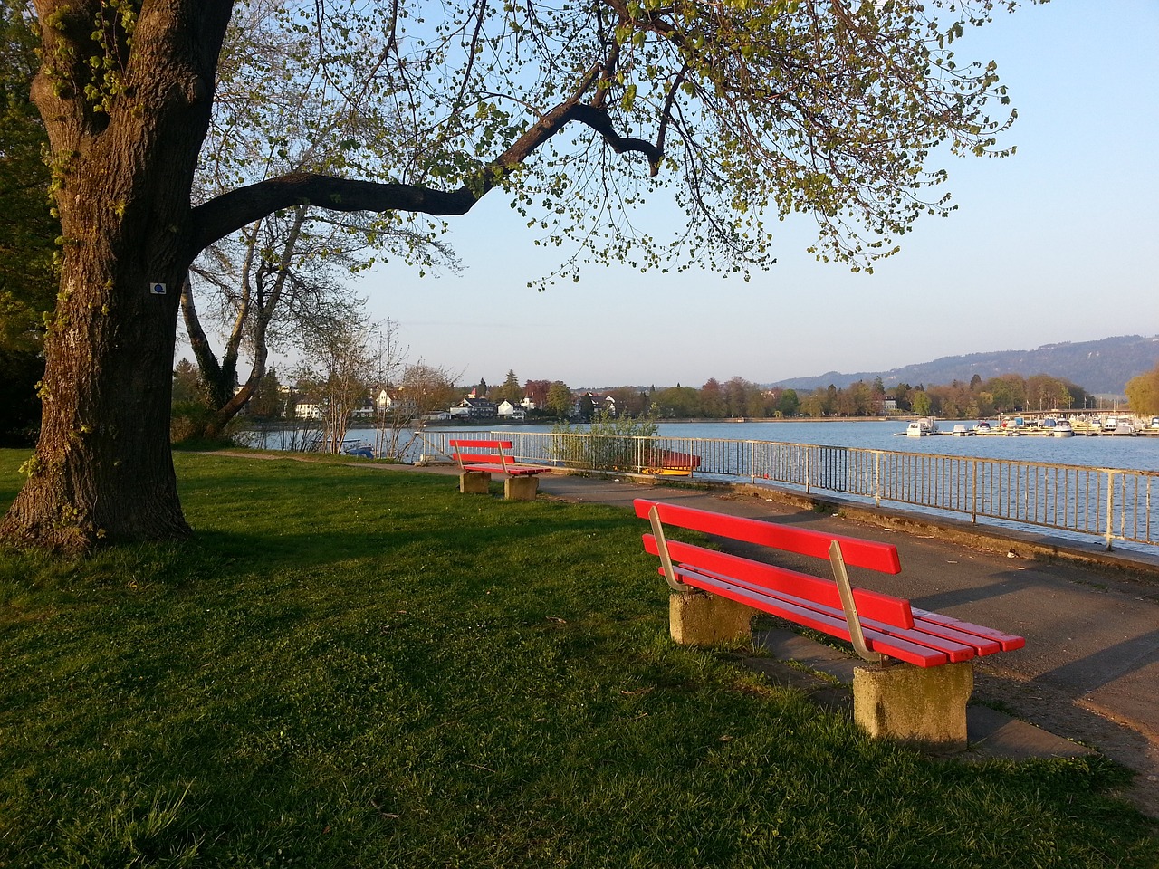 阿莫林:相信自己是曼联主帅最合适人选.