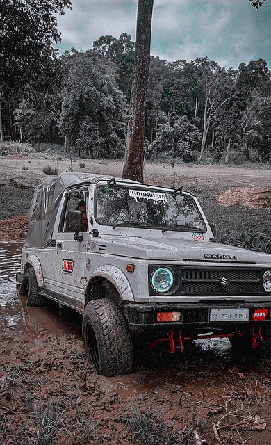 开云体育-德尔皮耶罗亚洲独家品牌形象大使